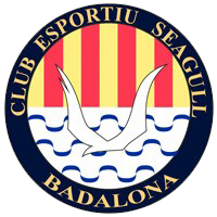 CE海鸥女足队标,CE海鸥女足图片